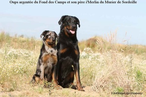 Oups-MerlinBEAUCERON 010  1024x768 